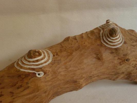 Escultura "Feitizo III"
